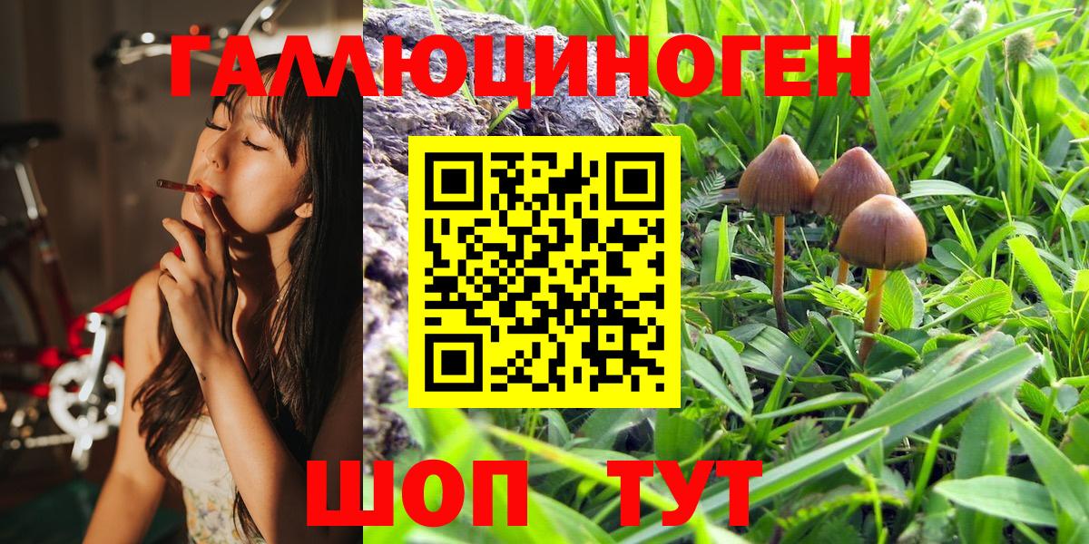 Галлюциногенные грибы MAGIC MUSHROOMS Гудермес