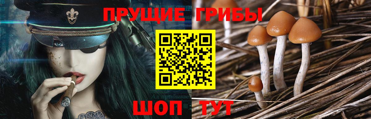 Псилоцибиновые грибы прущие грибы  Вход с VPN  Галлюциногенные грибы Magic Shrooms  Гудермес 